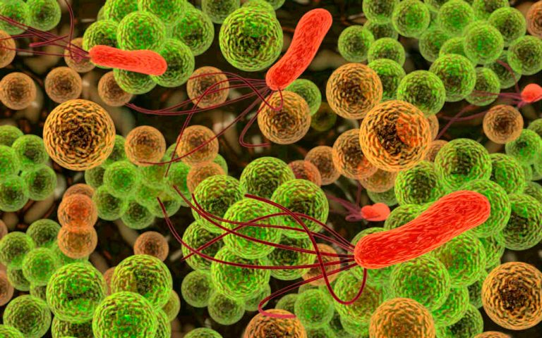 La ciencia recuerda por qué es importante cuidar a los microbios y su impacto en la vida de la Tierra