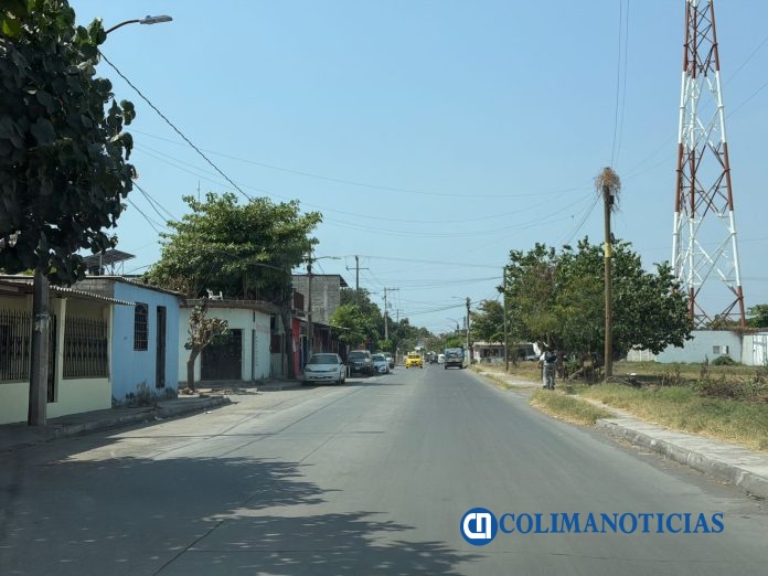 Palma Real y La Cuarta, entre focos rojos por abandono animal en Tecomán