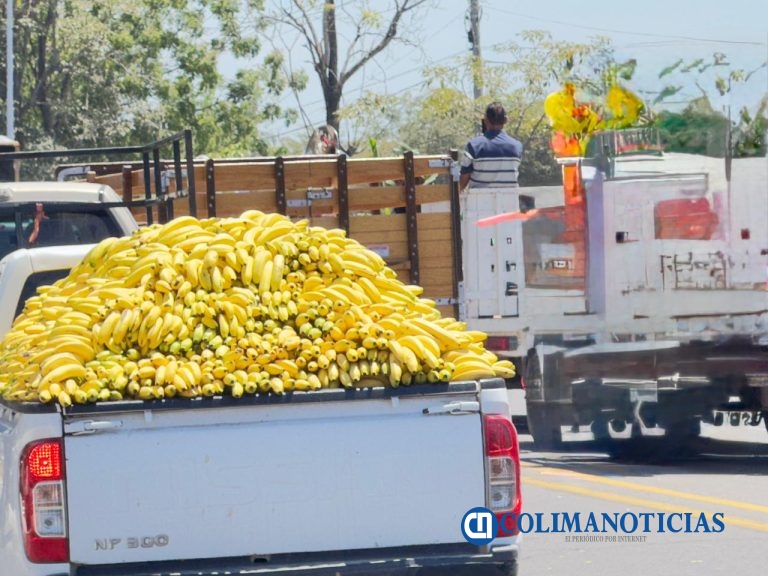 Productores buscan vender plátano a Walmart y fijar precio mínimo de comercialización