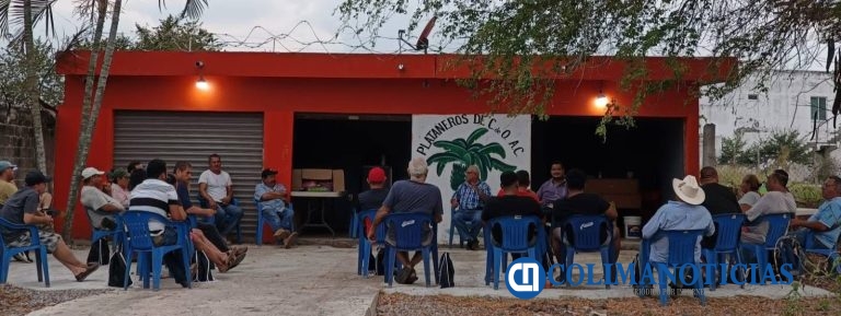 Productores de plátano buscan fortalecer comercialización y defender precio justo: Jorge González Magaña