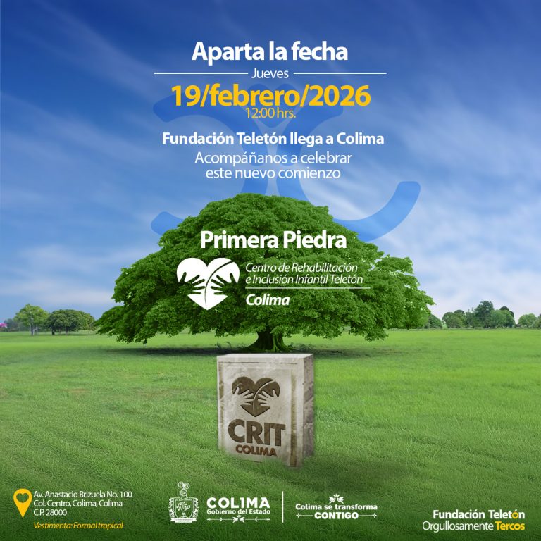 El 19 de febrero se colocará la primera piedra del Centro de Rehabilitación e Inclusión Infantil Teletón