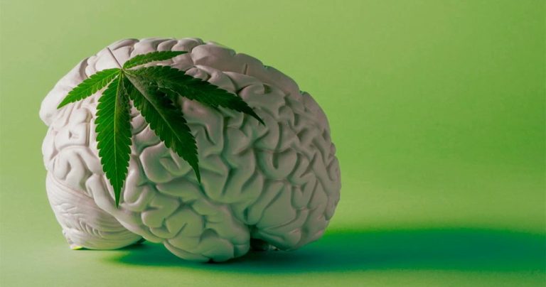 Estudio revela que el cannabis aumenta la inflamación cerebral en pacientes con primer episodio psicótico