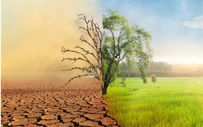Durante el año 2025 se extinguieron 44 especies en el mundo, según la Lista Roja de la UICN