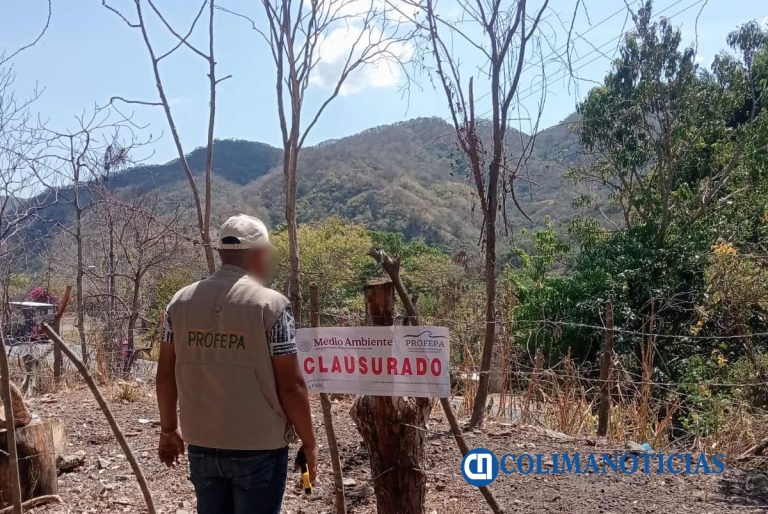 Clausura Profepa dos predios forestales en Minatitlán; detectaron remoción de vegetación
