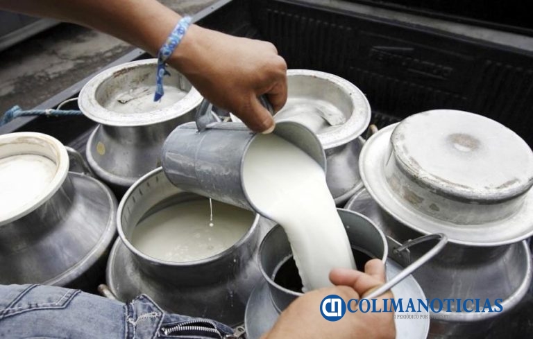 Gobierno del Estado de Colima fortalece acciones para prevenir casos de brucelosis