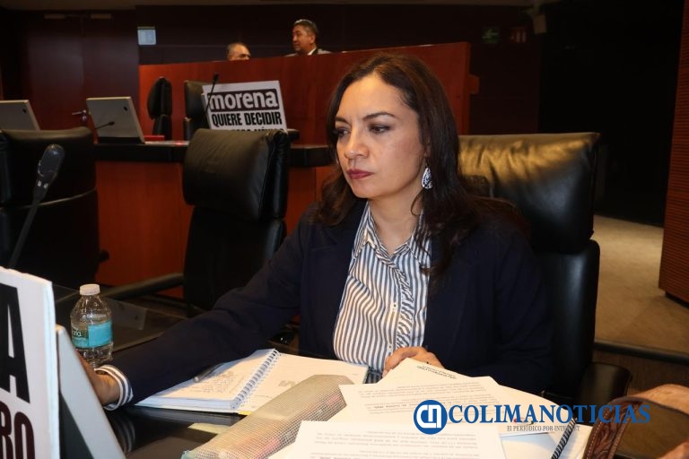 “Permitir que la Presidenta haga campaña abiertamente cada tres años, no fortalece la democracia” Mely Romero