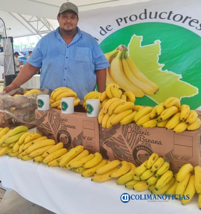Plataneros de Cerro de Ortega