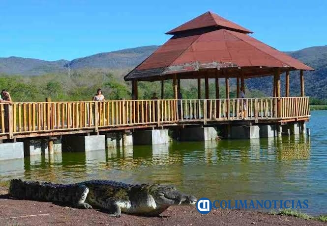 Proponen ruta para rescatar el cocodrilario de Cofradía de Hidalgo