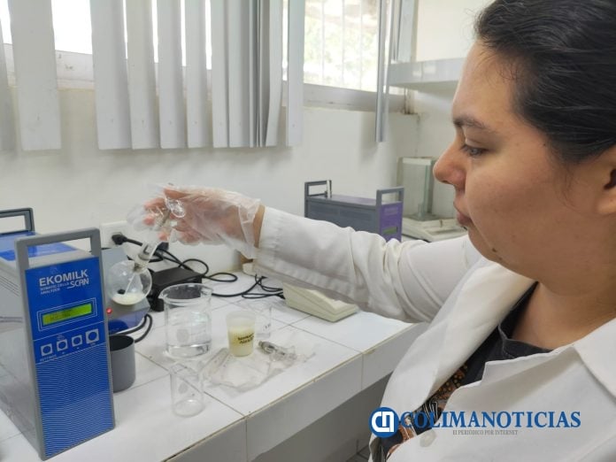 Proyecto para mejorar alimentación en becerros lactantes_b