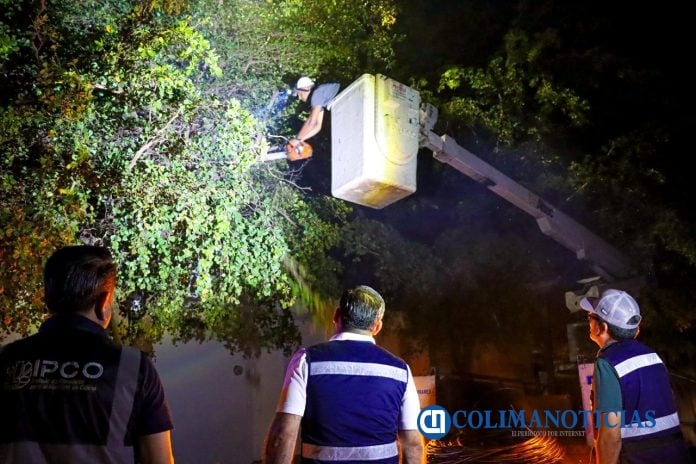 Riult Rivera camina El Diezmo junto a sus vecinos y atiende necesidades de luminarias y poda (2)