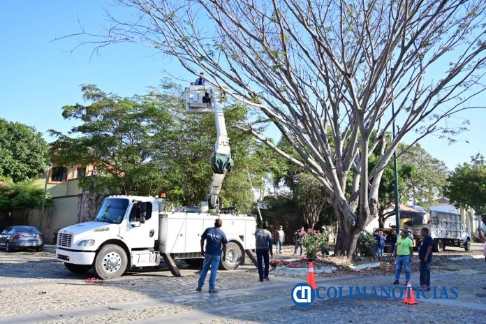 Riult Rivera supervisa limpieza en Jardines Vista Hermosa