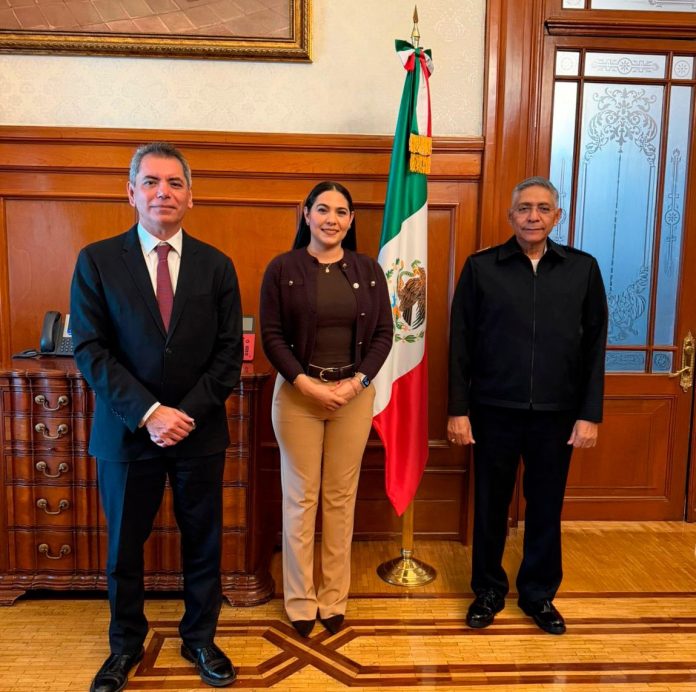Semar y SHCP, Indira Vizcaíno