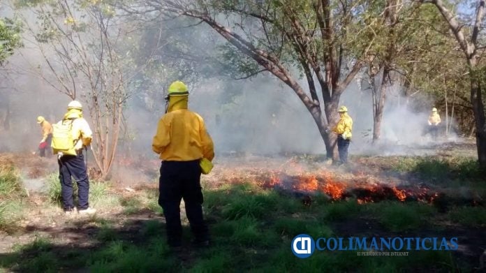 Conafor Colima