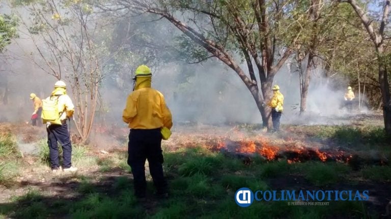 Conafor: en Colima hay tres incendios forestales activos