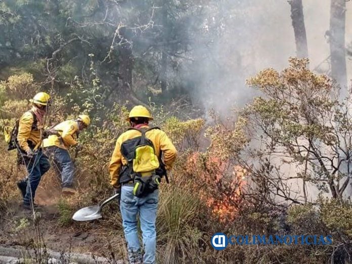 Controlado un incendio forestal registrado Zacaulpan