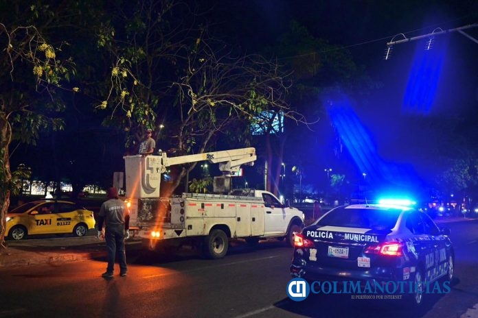 Gobierno de Riult Rivera Inicia trabajos de poda y mantenimiento en camellones de Av. Felipe Sevilla del Río (3)