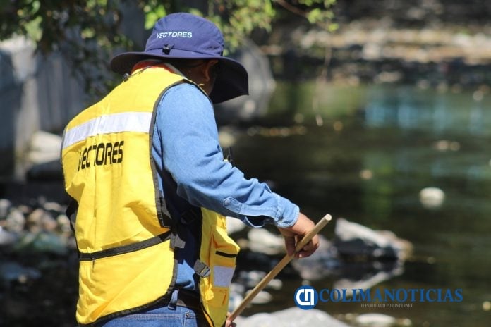 Gracias a labores de prevención, Colima acumula más de 20 años sin paludismo Salud (2)