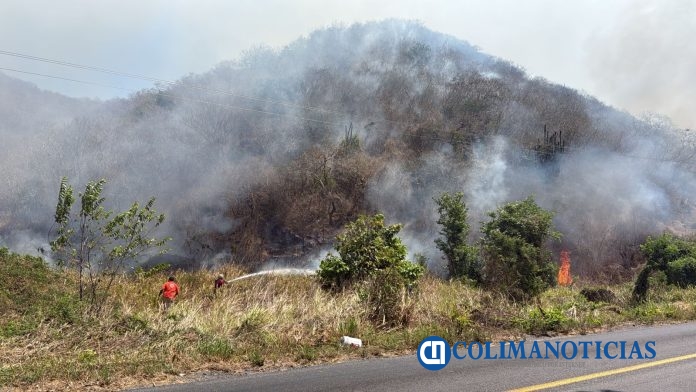 Imades Colima pide prevenir incendios forestales en estiaje; 90% son provocados por actividad humana (2)