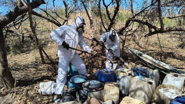 Autoridades destruyen laboratorio de drogas en Sinaloa, presunto vínculo con “Los Chapitos”