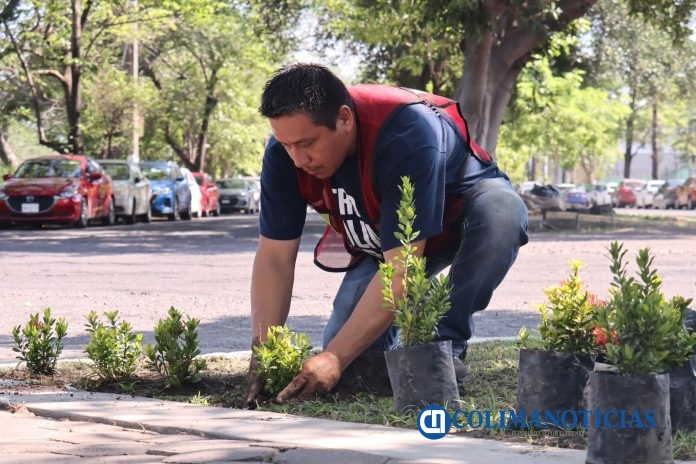 Por un Colima más Verde Riult Rivera y la Participación Ciudadana Impulsan el Programa “Colima Verde y Vivo” (3)