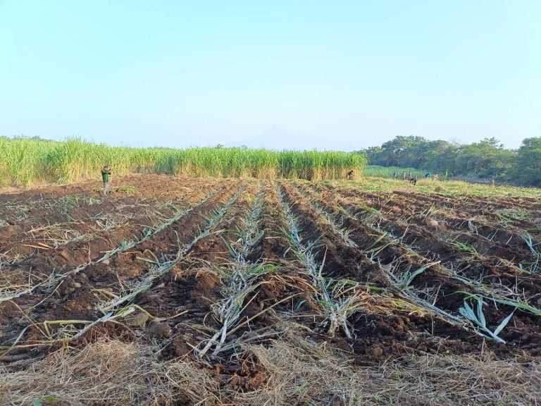 A 20 días de que venza el plazo, el Gobierno de México reitera el llamado a productores del campo para que regularicen sus concesiones de agua