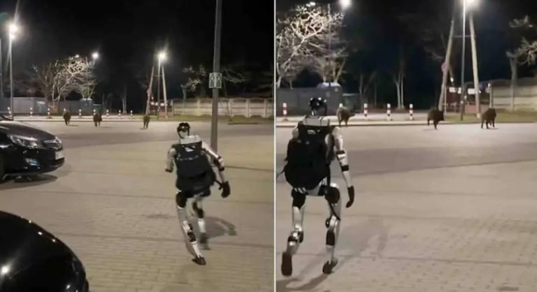 Robot humanoide “Edward Warchocki” se vuelve viral en Polonia