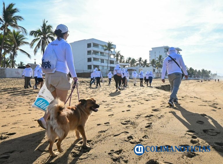 Rosi Bayardo encabeza jornada de limpieza de playas