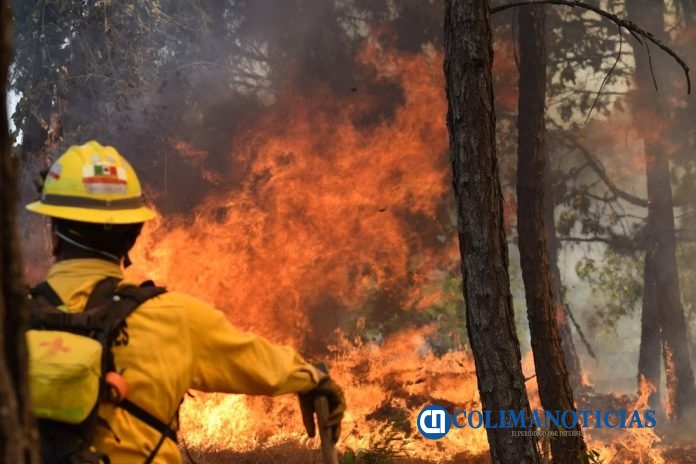 Se registran 3 incendios forestales activos en Colima; se han visto afectadas 74 hectáreas