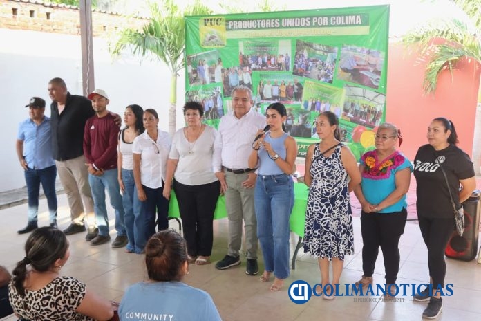 Sedeco Colima