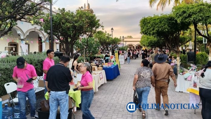 Subsejuv Colima abre registro para participar en el Mercadito Joven el 9 de mayo en Minatitlán (4)