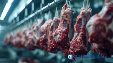Ventas de carne