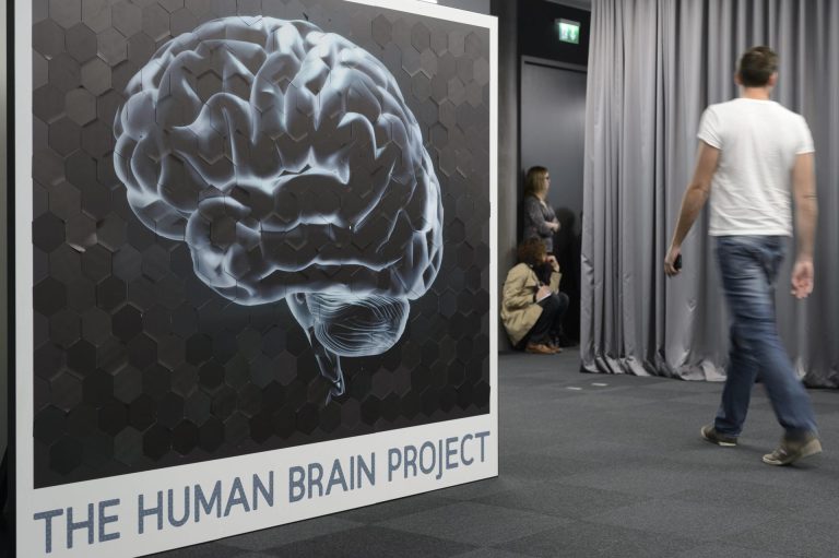 Cómo la regeneración cerebral de algunas aves podría abrir la puerta a reparar el cerebro humano