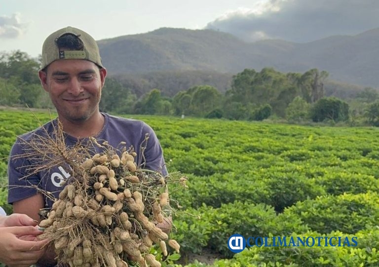 Desde Ixtlahuacán al mundo: proyecto de cacahuate llega a Taiwán