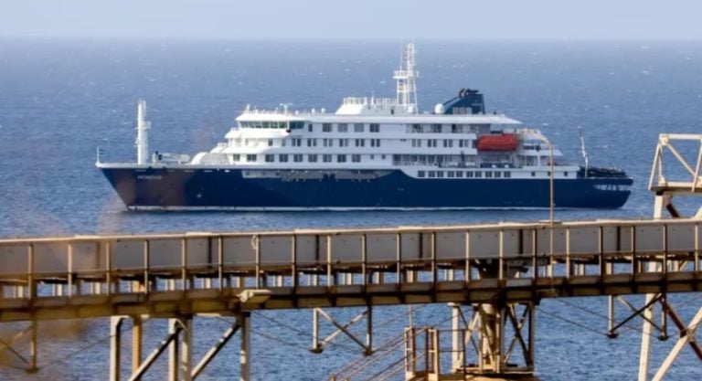 Hantavirus que causó la muerte de 3 personas en crucero es de cepa Andes, transmisible entre humanos