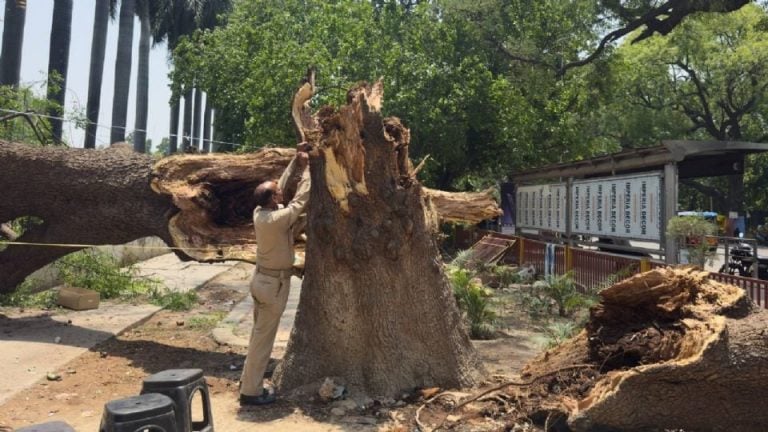 Tormentas de polvo, lluvias y rayos dejan cerca de 100 muertos en India