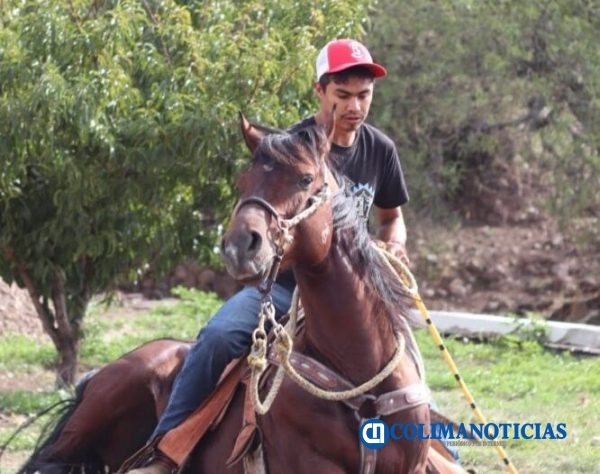 Maltrato Equino