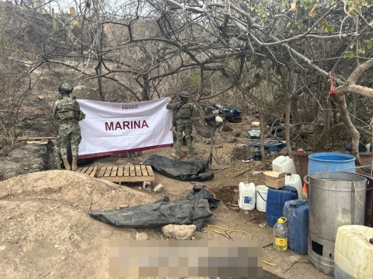 Marina localiza e inhabilita un laboratorio clandestino y un plantío de marihuana en Culiacán, Sinaloa