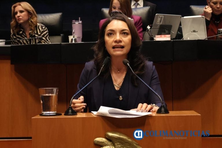 Mely Romero propone que la intervención del crimen organizado en una elección, sea causa de nulidad: Morena vota en contra