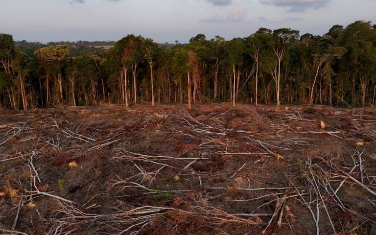 La deforestación mantiene su avance a escala global y las medidas implementadas aún no logran contenerla