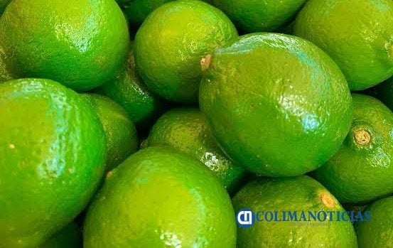 Productores de limón enfrentan mayores costos por saturación carretera