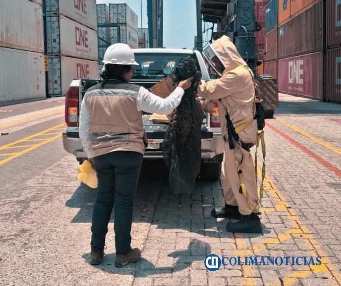 Reubican enjambre de abejas de las Instalaciones de SSA Marine de Manzanillo