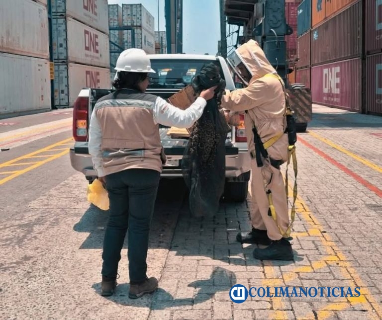 Reubican enjambre de abejas de las Instalaciones de SSA Marine de Manzanillo