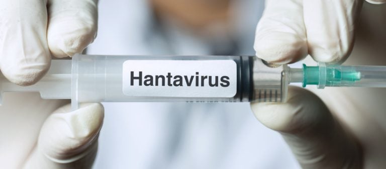 Emite la Secretaría de Salud Federal “aviso epidemiológico” por brote de hantavirus