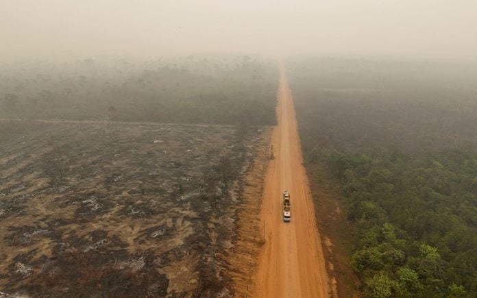 sequia-amazonia-causo-estargos-irreversibles