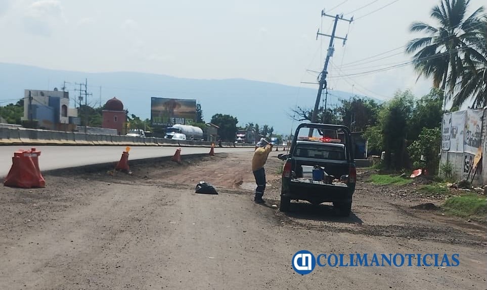 Almacén de perfumes atrae enjambres de abejas en la colonia Bayardo; reportan una persona lesionada