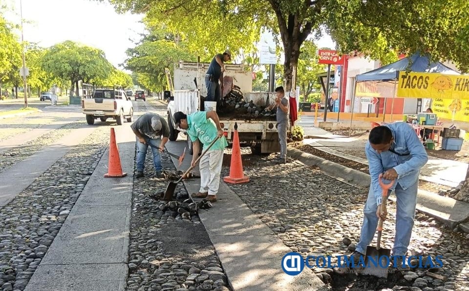 Colima refuerza el mantenimiento vial; rehabilitan empedrados en Avenida Constitución