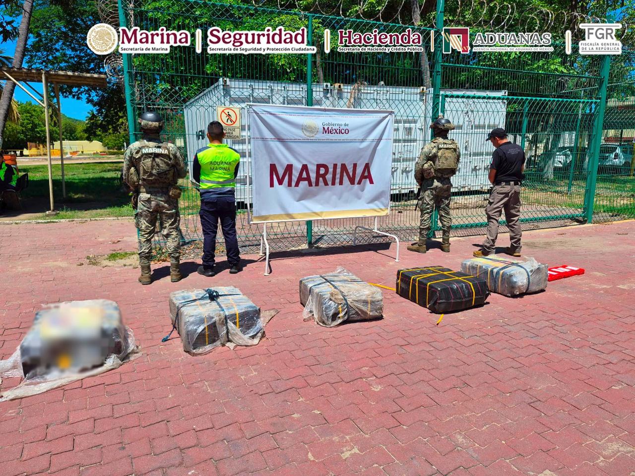 En el recinto portuario de Manzanillo, Colima, Marina asegura presunta carga ilícita (2)