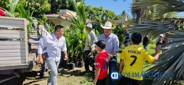 Gobierno de Indira Vizcaíno entrega miles de plantas de coco, mango y tamarindo; es opción de negocio para familias