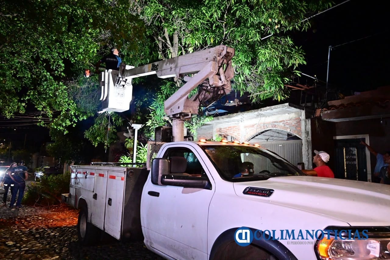 Gobierno de Riult Rivera, realiza poda de arboles y recolección de ramas en Jardines de la Estancia