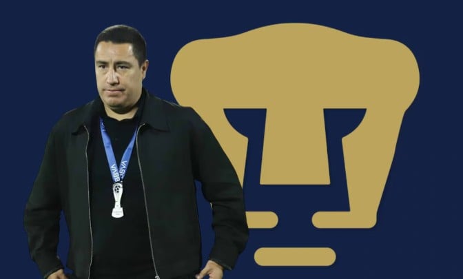 Pumas